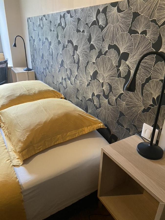 Ginkobiloba : Appartement Cosy En Coeur De Ville Bagneres-de-Bigorre Luaran gambar